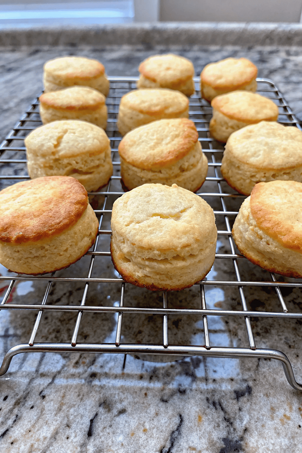 Bizcochos de Suero de Leche