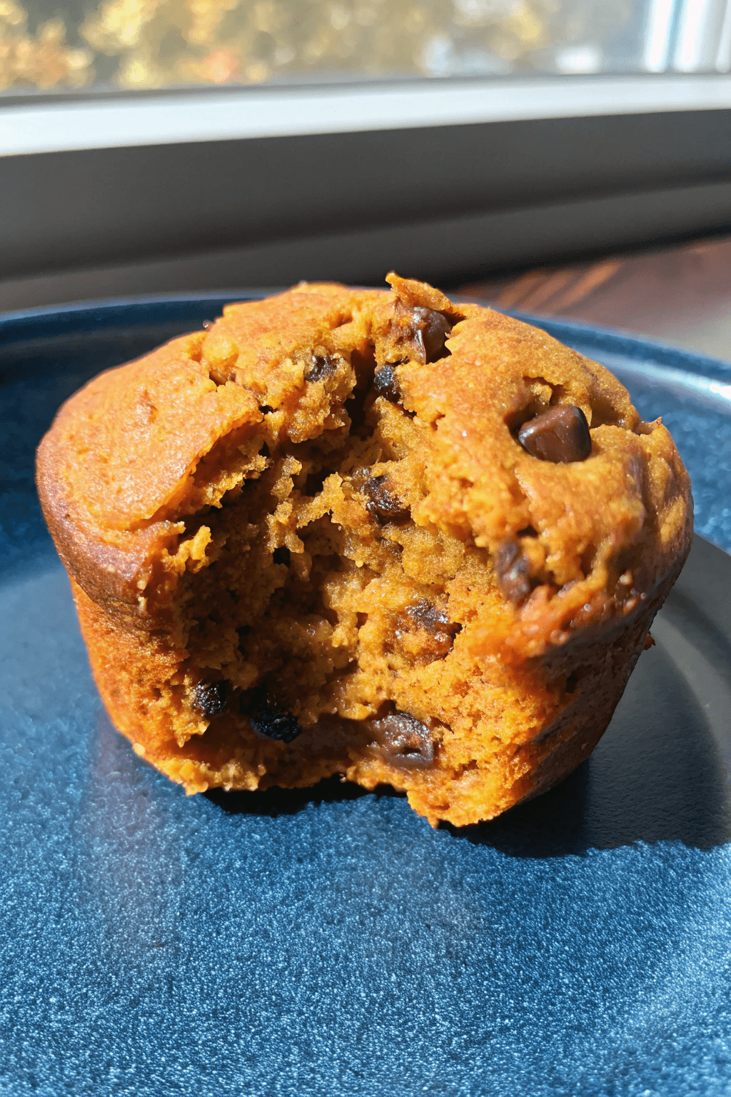 Muffins de Calabaza 2 Ingredientes