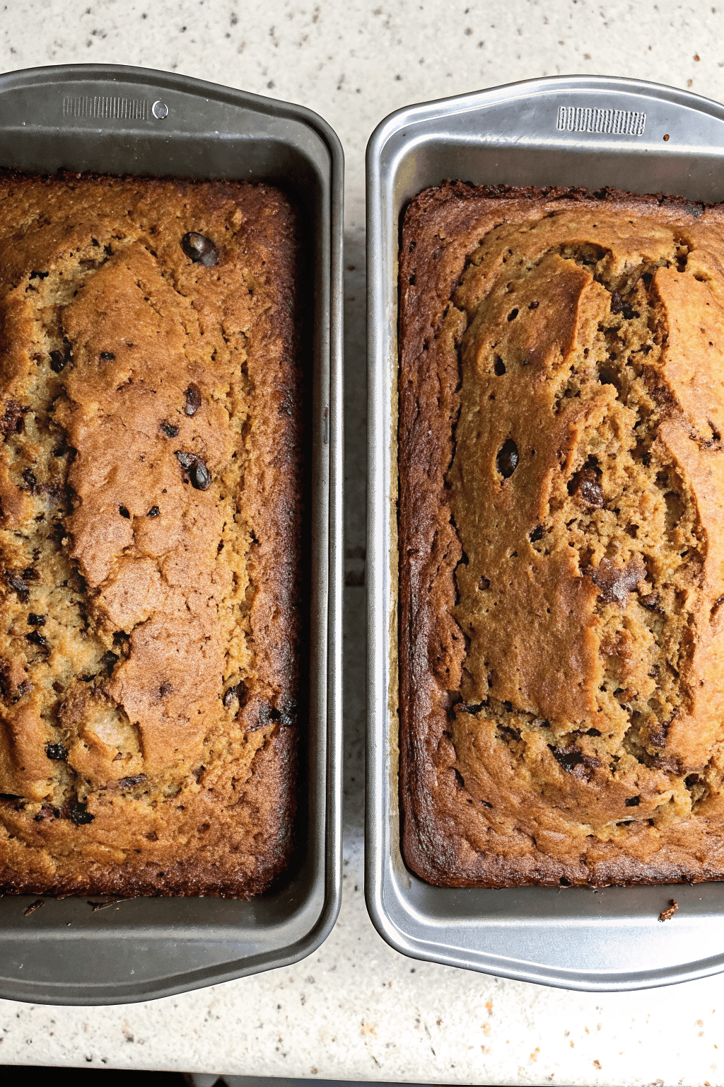 Pan de Calabacín y Grosellas