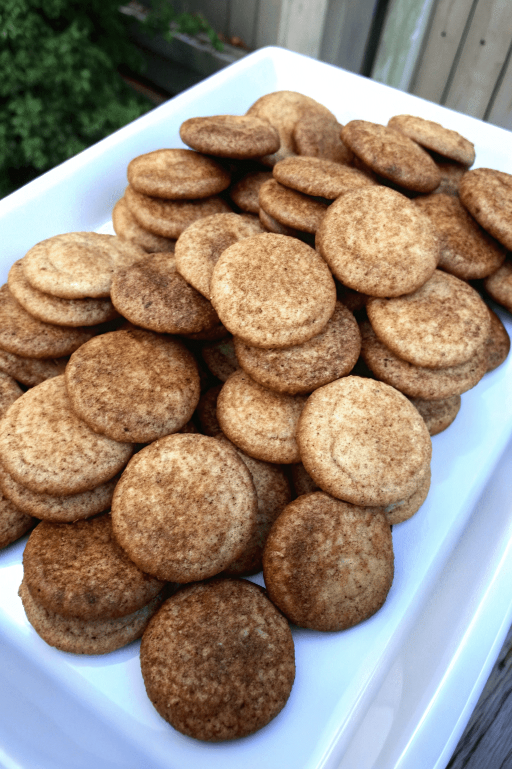 Receta de Galletas de canela